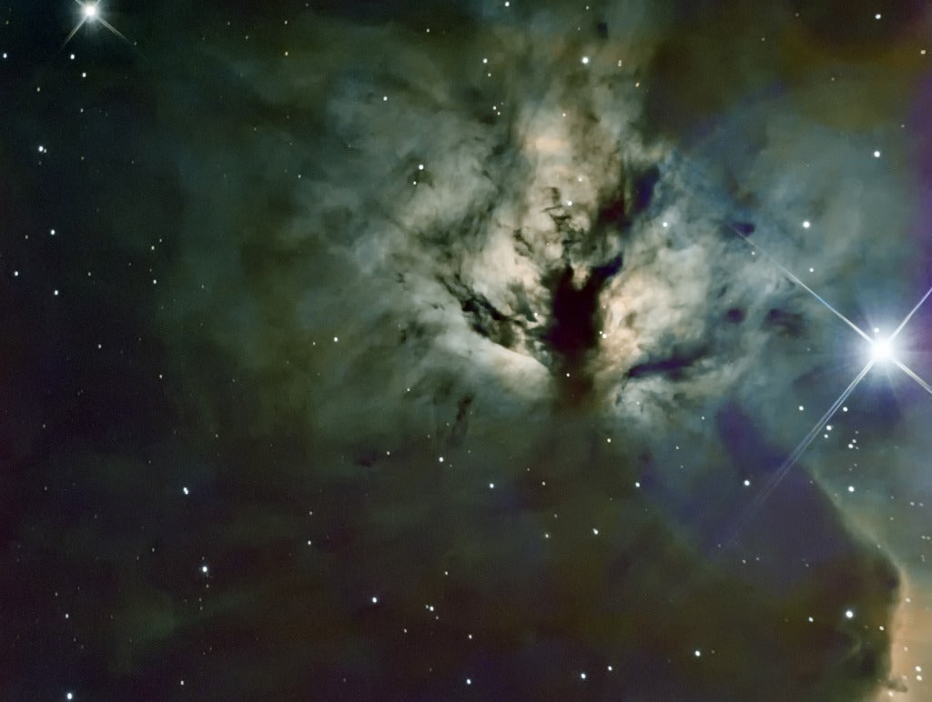 This image of the flame nebula, taken by david Gloistein, was taken using a narrowband filter.