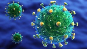 Image of an HIV cell via pedaids.org