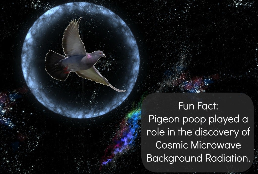 cosmic microwave background radiation meme bird poop