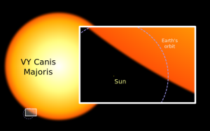 A comparison between the hypergiant, our sun and Earth's orbit. (Credit: wikipediacommons)