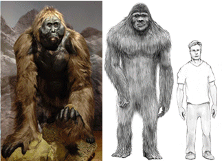 one big ape via source