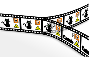 The quantum-mechanical "Schrödinger's cat" paradox according to the many-worlds interpretation. In this interpretation, every event is a branch point; the cat is both alive and dead, even before the box is opened, but the "alive" and "dead" cats are in different branches of the universe, both of which are equally real, but which do not interact with each other.