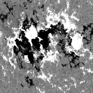 "Magnetogram" showing the Sun's surface magnetic field. Credit: NASA SDO HMI