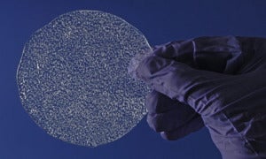 An example of ice bubbles (Credit: British Antarctic Survey/PA)