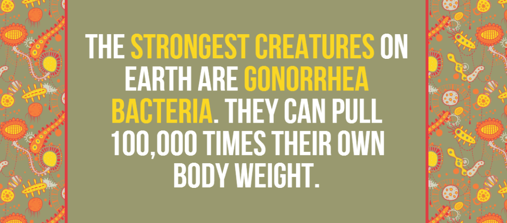 Image via FactSlides