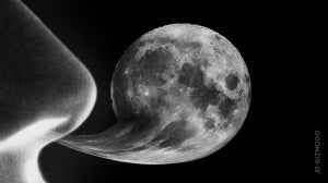 Image Credit: gizmodo
