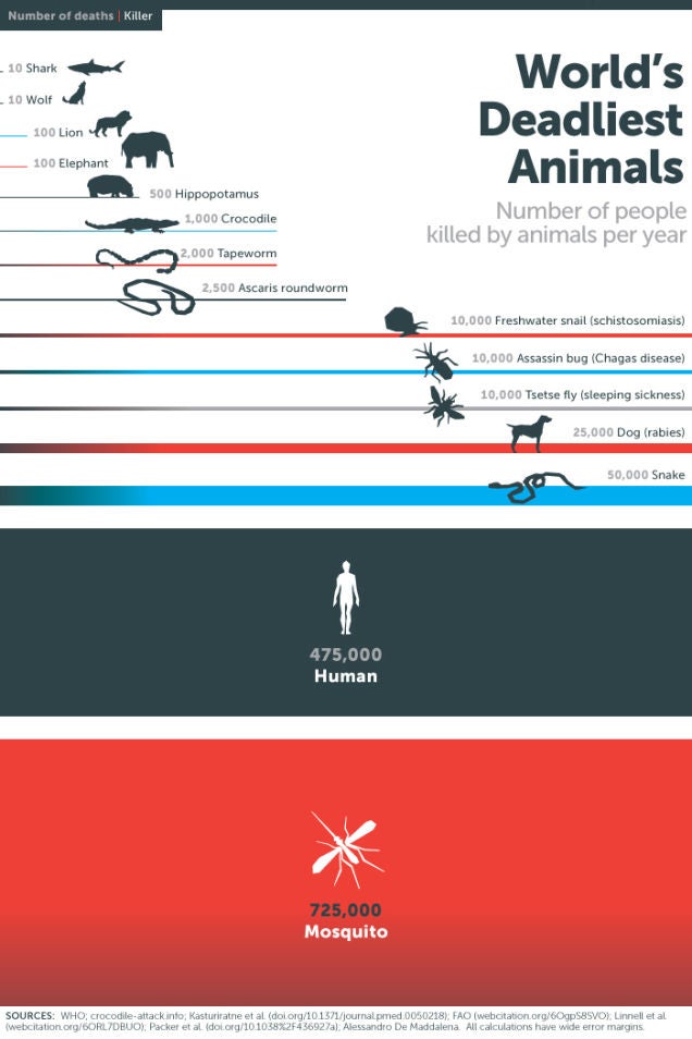 deadliest animals