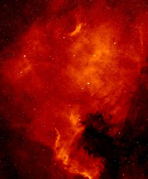 Image Credit: Andrew Butler