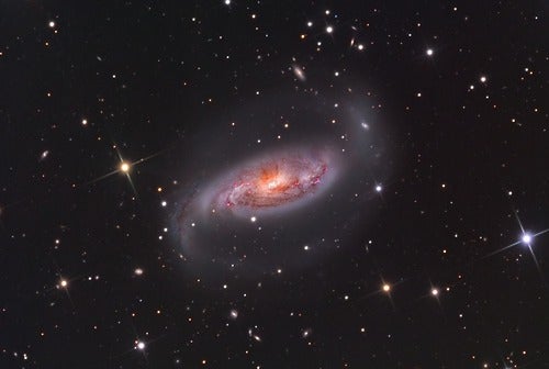 Image Credit: Star Shadows Remote Observatory (SSRO)
