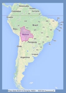 Bolivia now has its own species of golden bat (Image Credit: Zee Maps)