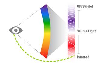 A handy graphy that shows what forms of light the human eye can readily see (Image Credit: Sara Dickherber)