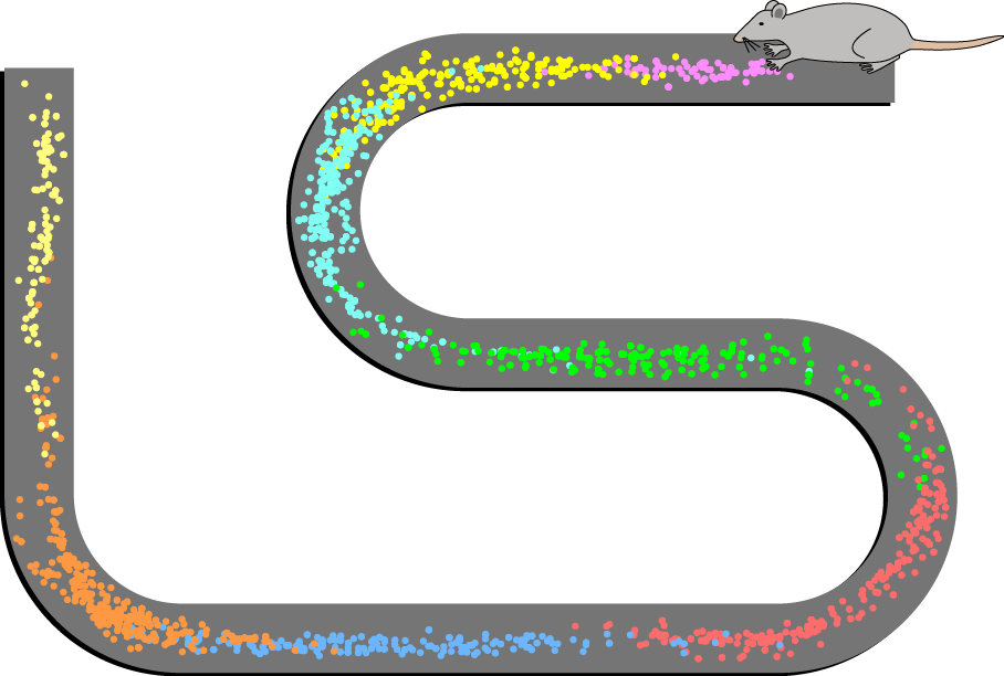 Place_Cell_Spiking_Activity_Example