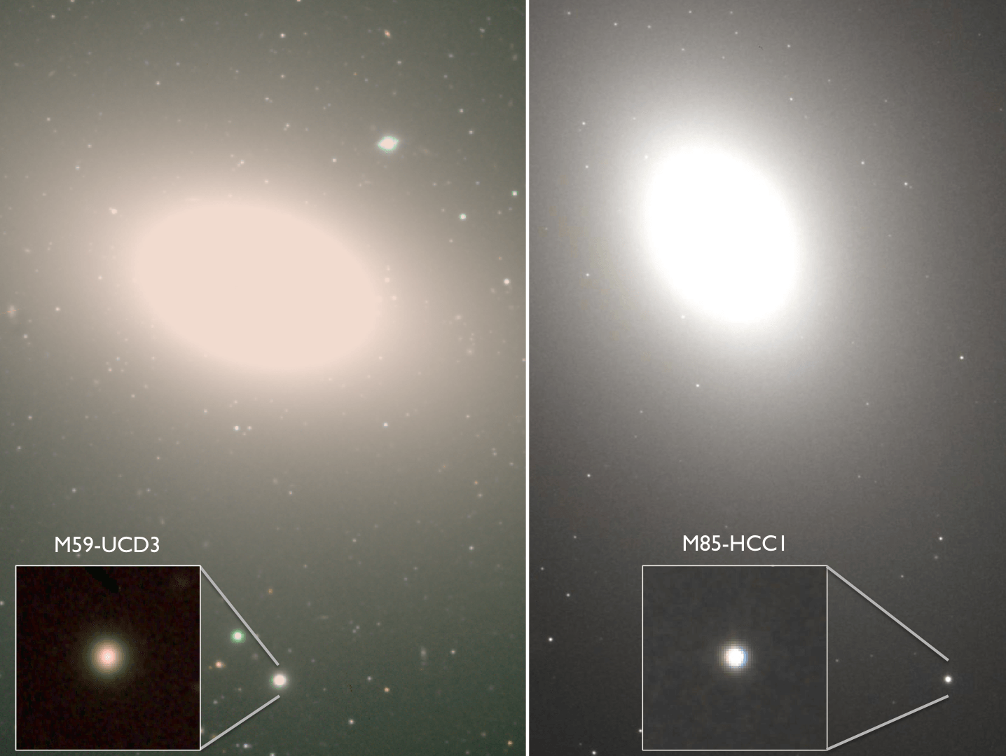 Ultracompact Dwarf Galaxy