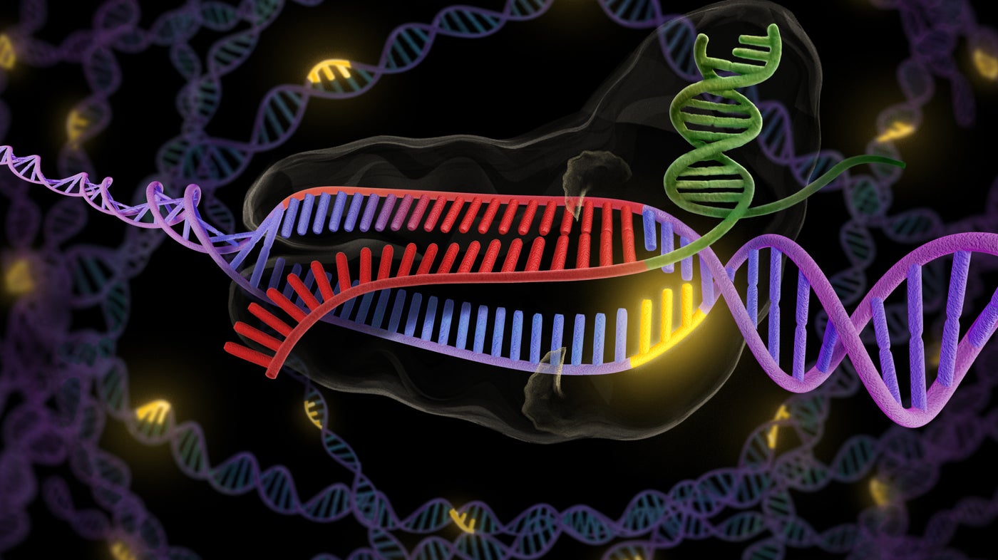 Desktop Genetics Now You Can Do Genetic Engineering Without Ever 