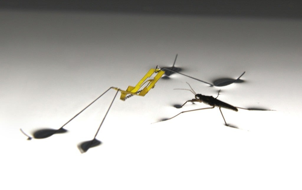 Water Strider Robotic Insect