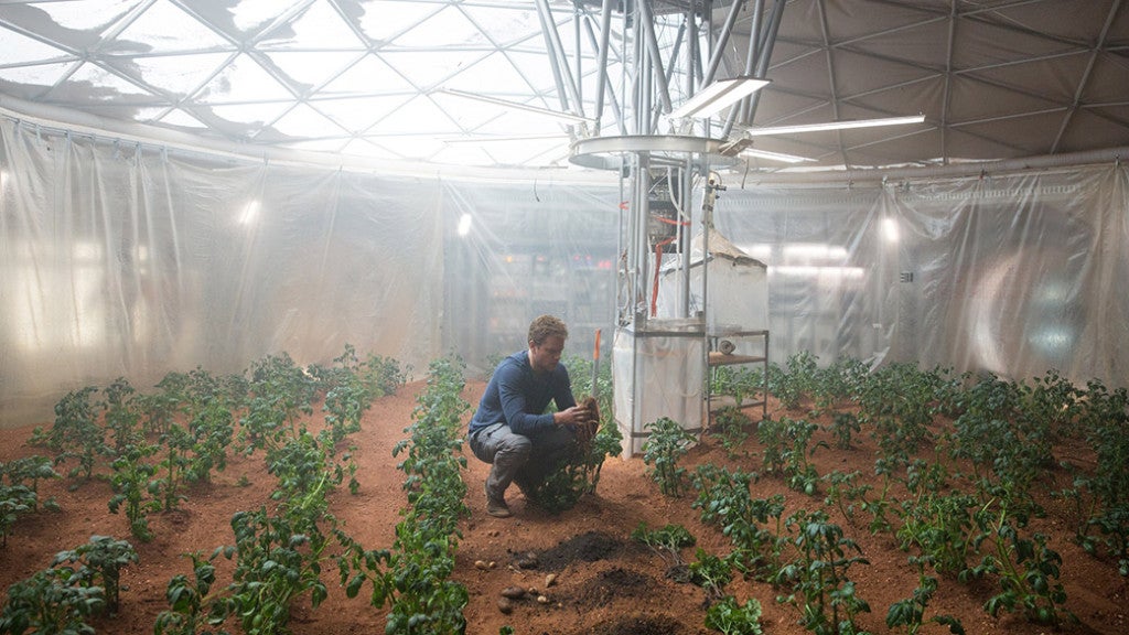 In a scene from "The Martian," Astronaut Mark Watney harvests potatoes in the Hab.