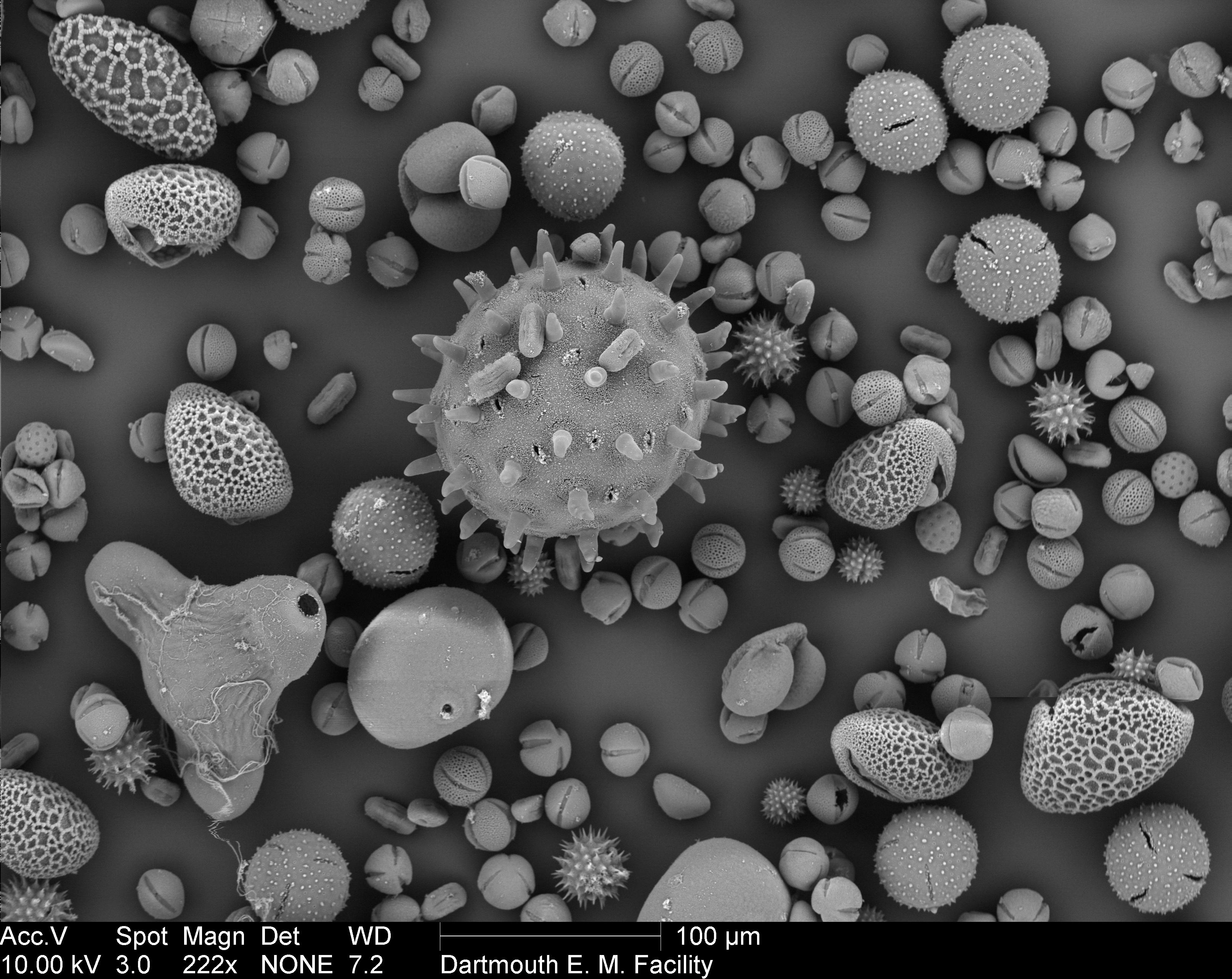 Revolutionary: Scientists Film Atomic Motion, Transforming 2D Material Technology! - 6gfrctr