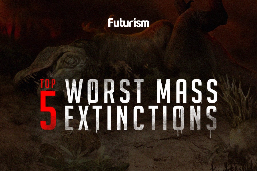 The World’s Worst Mass Extinctions