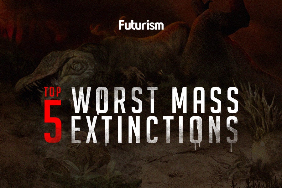 The World's Worst Mass Extinctions