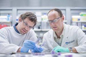 Matt McCormack and Ben Shields. Image Credit: http://www.wehi.edu.au