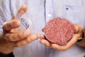 Lab-grown, stem cell burger. Image Credit: http://gizmodo.com/