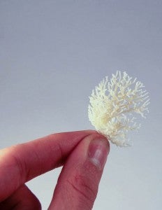 Image of a nylon model of the arterial system in a mouse's liver, 3-D printed using the OpenSLS platform. Credit: Rice University