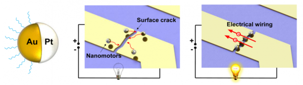 Illustration of gold-platinum "Janus particles" self-assembling to repair a circuitry break. Credit: Wang et al./Nano Letters