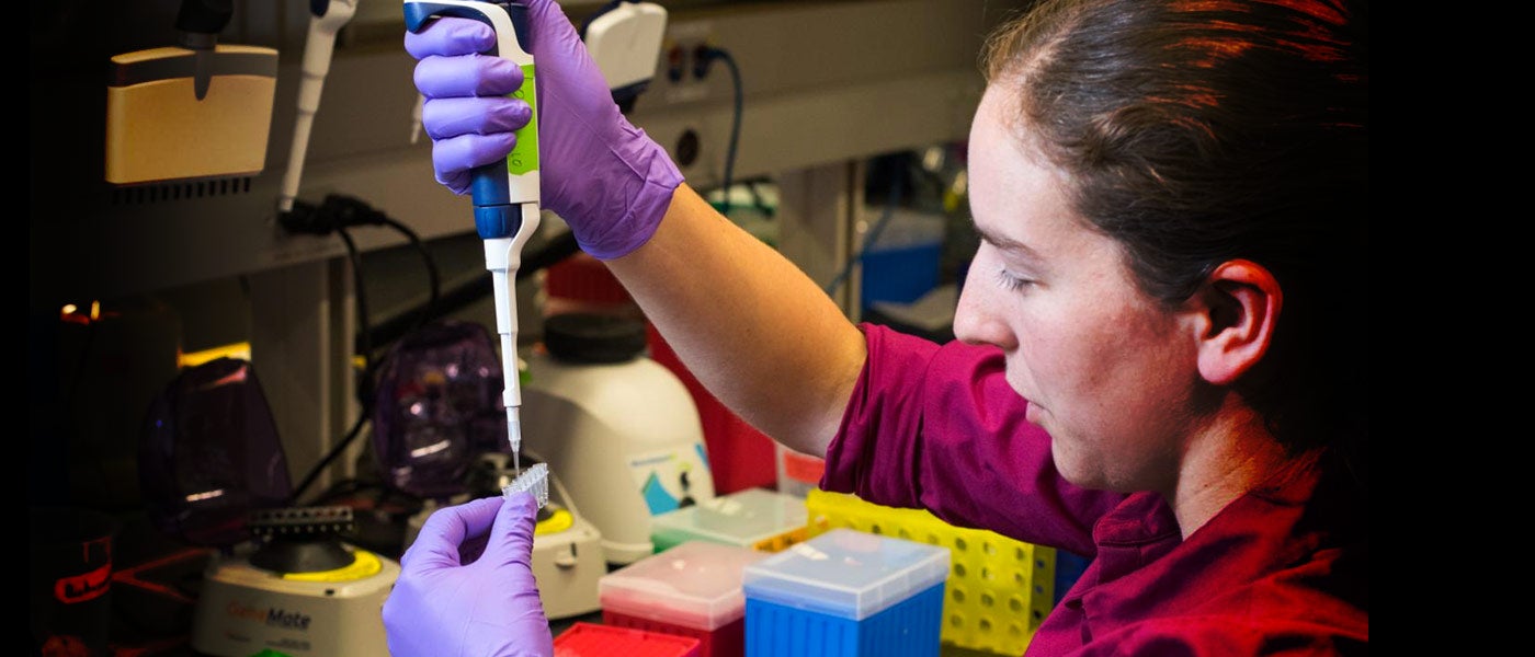 Scientists Store and Retrieve Image Files on DNA