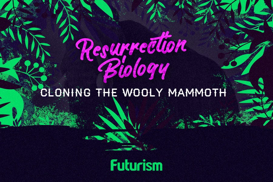 Resurrection Biology: Cloning the Wooly Mammoth