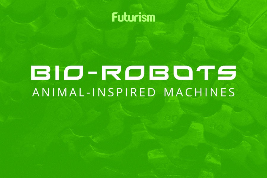 Bio-Robots: Animal-Inspired Machines