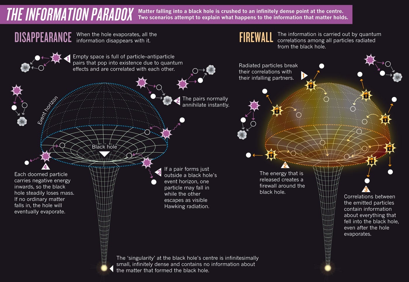 Information Paradox. Nature Publishing Group