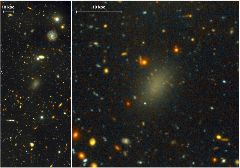 Dark galaxy Dragonfly 44 taken using the Gemini Multi-Object Spectrograph (GMOS). Dragonfly 44. The image on the left is a wide view of the galaxy taken with the Gemini North telescope using the Gemini Multi-Object Spectrograph (GMOS). Pieter van Dokkum, Roberto Abraham, Sloan Digital Sky Survey.