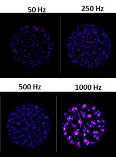 Microsecond filament pattern of cold plasma at different frequencies. Credit: Dr. Therese Freeman