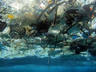 AP Photo/NOAA Pacific Islands Fisheries Science Center