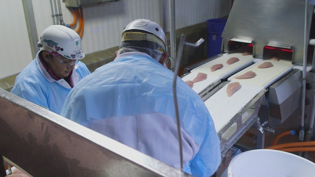 Testing meat for contamination. Image: Frontline, PBS.