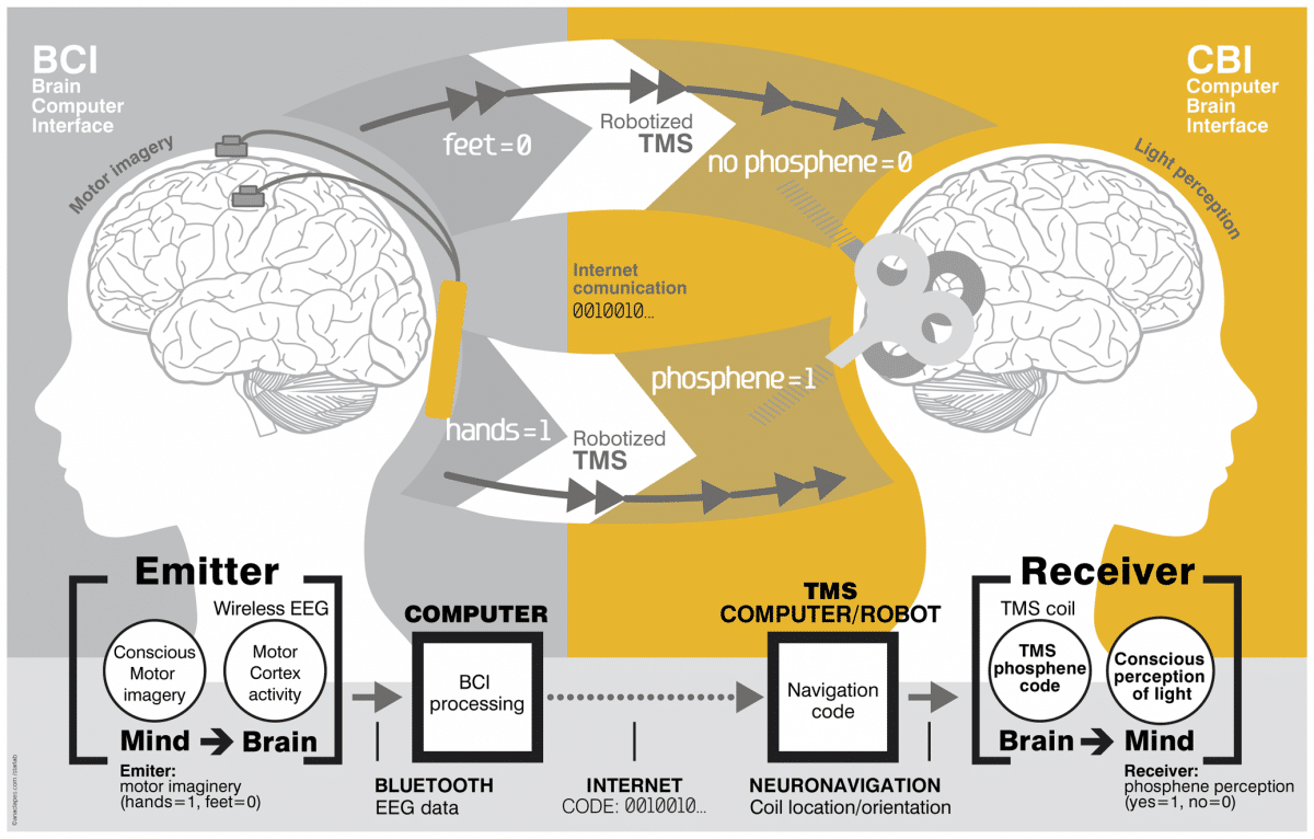 An overview of the brain-to-brain interface. Image: PLOS One