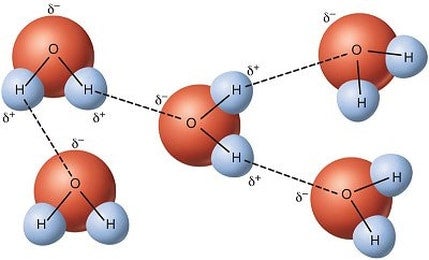 Hydrogen bonds. Wikimedia Commons, CC BY-SA