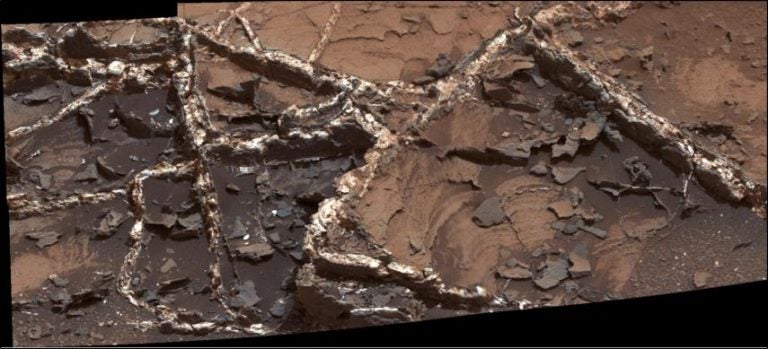 Mineral veins at the “Garden City” site, examined by NASA’s Curiosity Mars rover. Credit: NASA/JPL