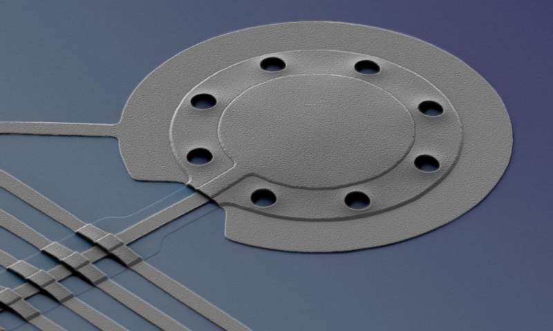 The microscopic drum: 20 micrometers (diameter) by 100 nanometers (thickness). Photo Credit: Teufel/NIST