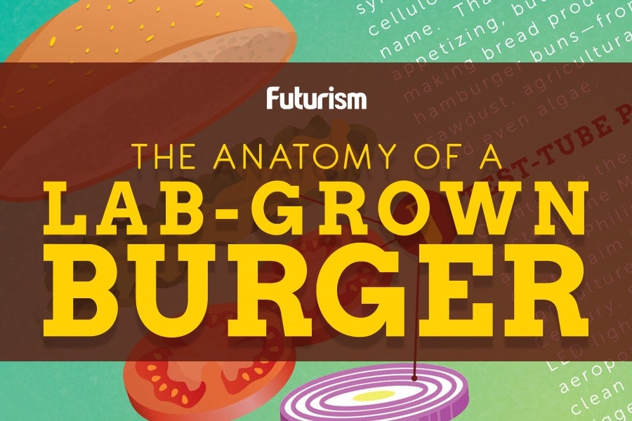 Lab Grown Burger