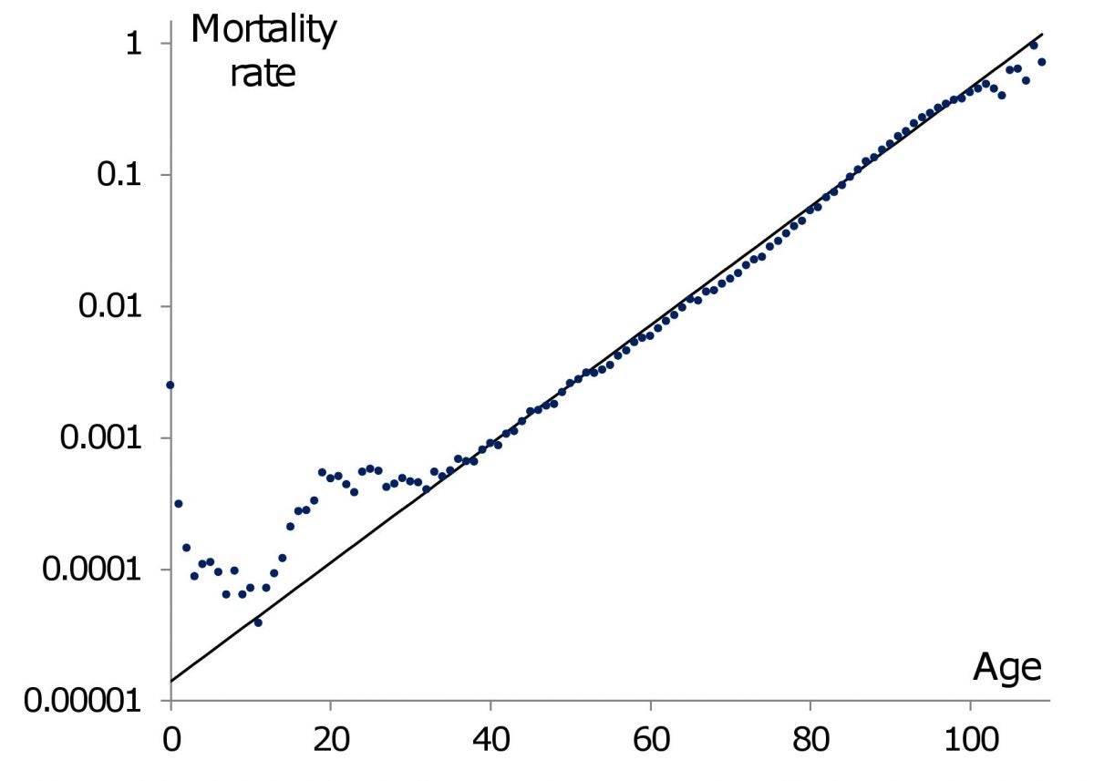 A Swedish example of Gompertz law. Credits: University of Liverpool