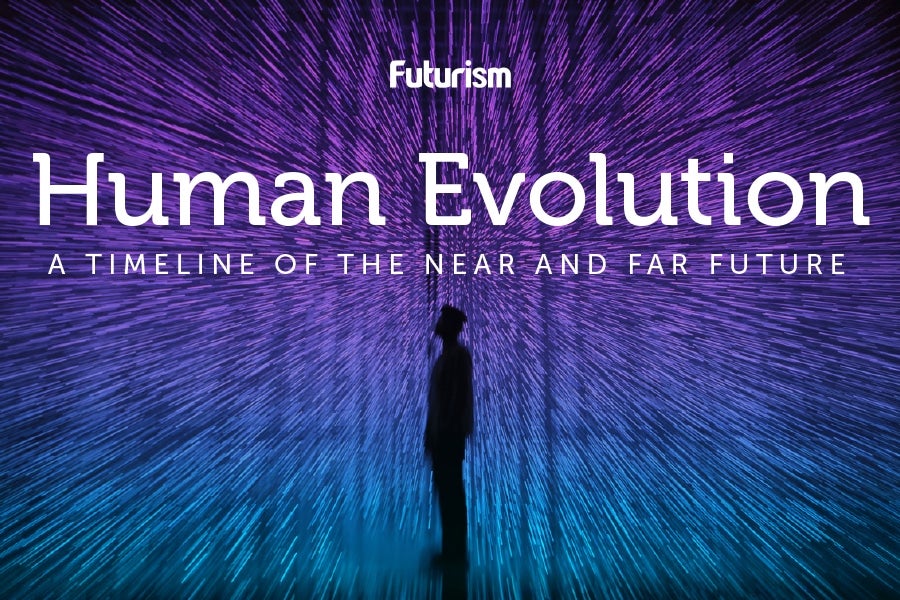 human evolution