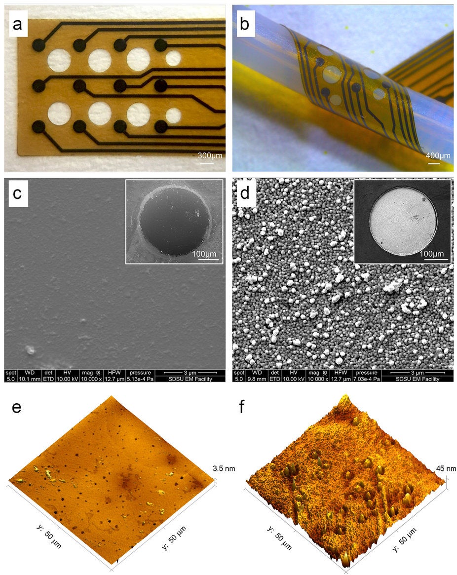 brain-computer interface glassy carbon neurotransmitters electrodes