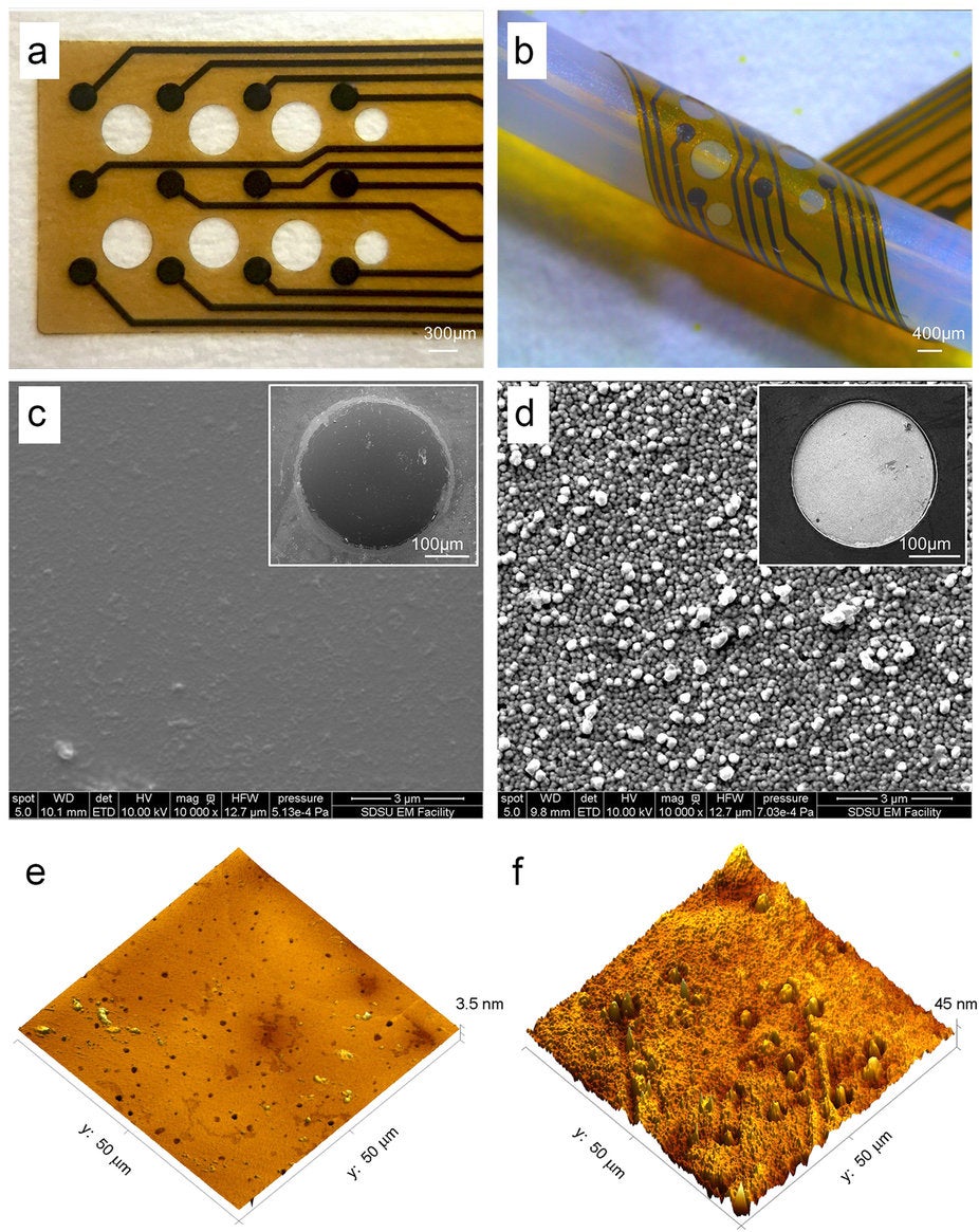 brain-computer interface glassy carbon neurotransmitters electrodes