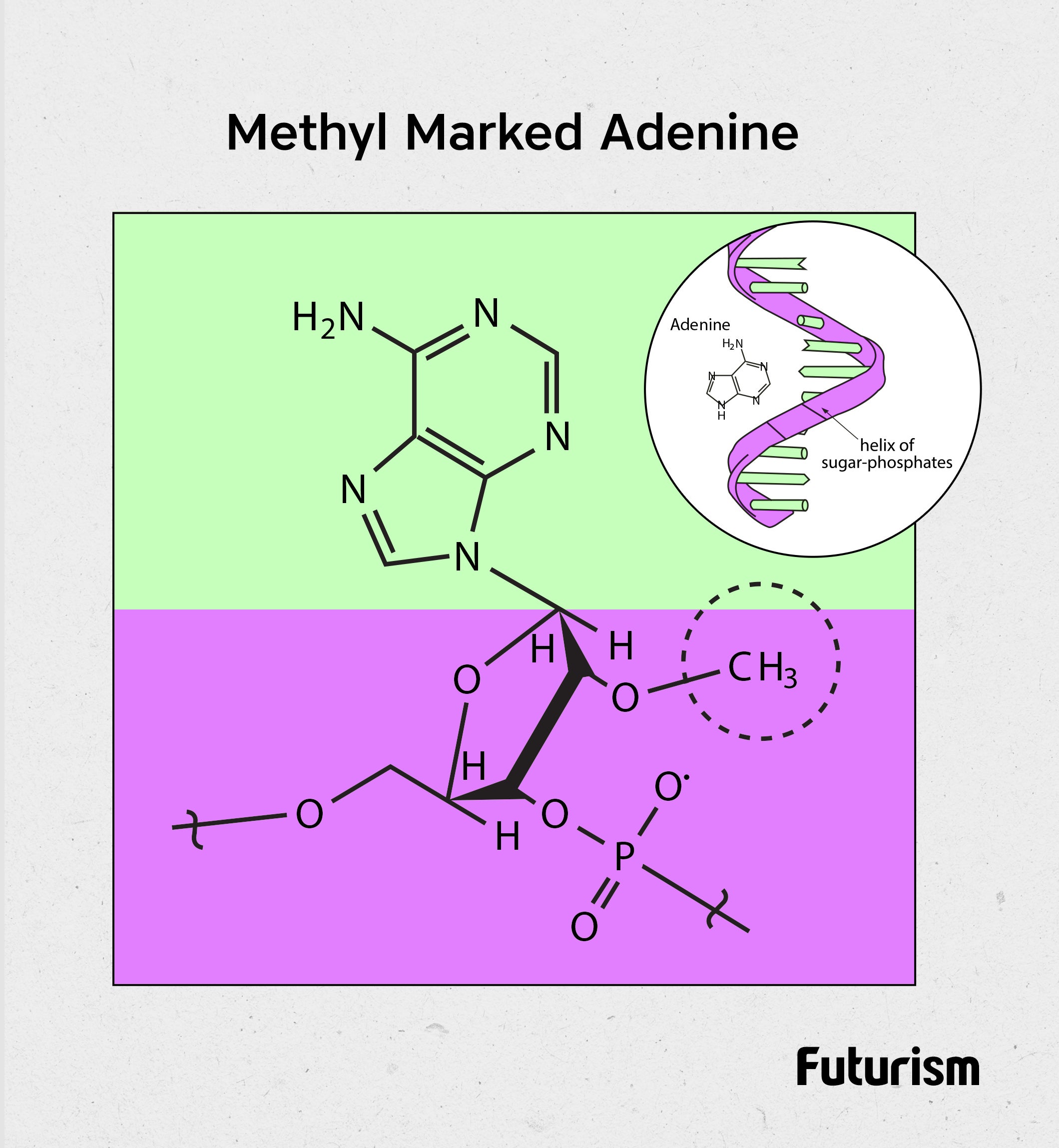 *1* [Evergreen] Researchers Are Digging Into A Previously Overlooked Aspect of Genetics