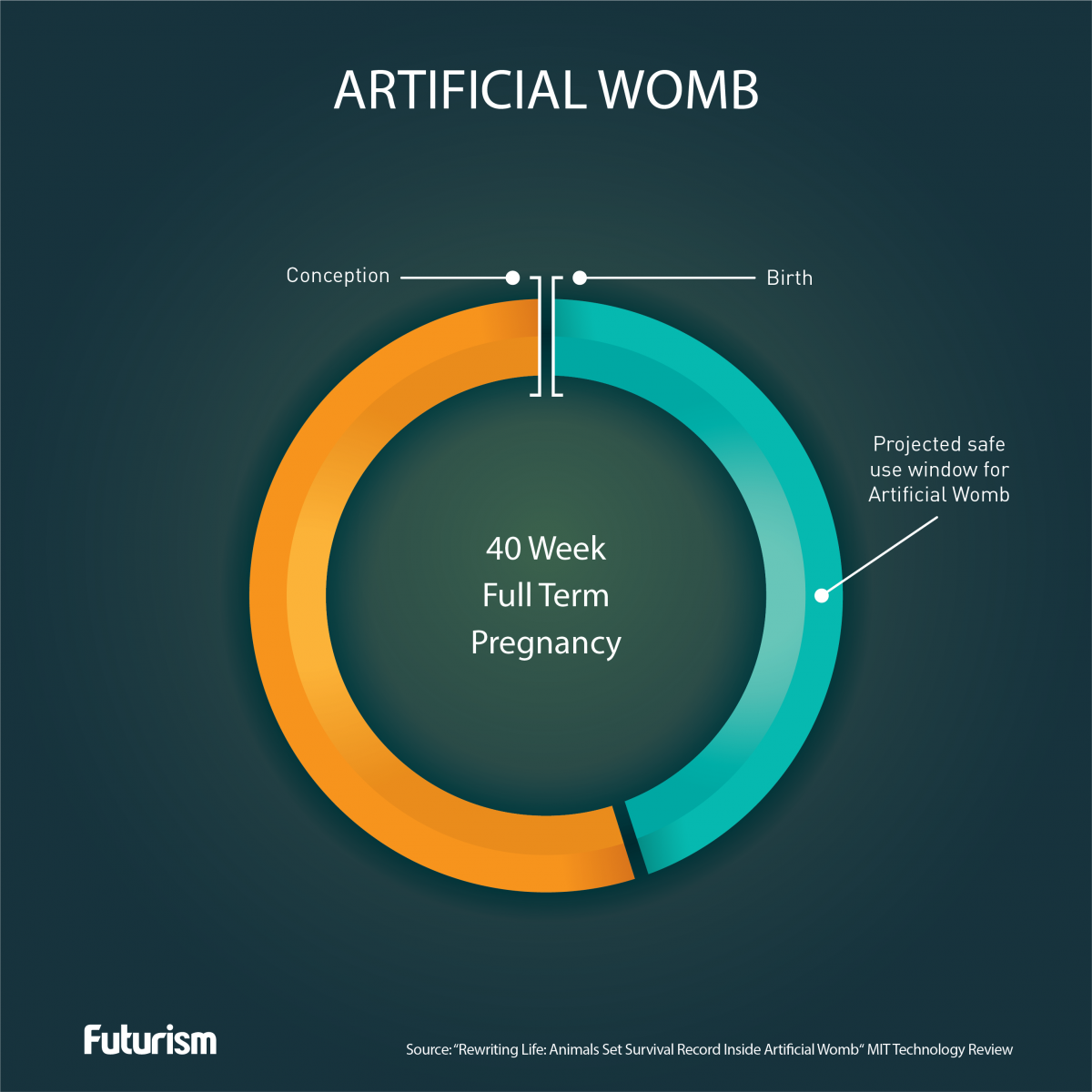 This Fluid-Filled Bag Lets Lambs Develop Outside the Womb. Humans Are Next.