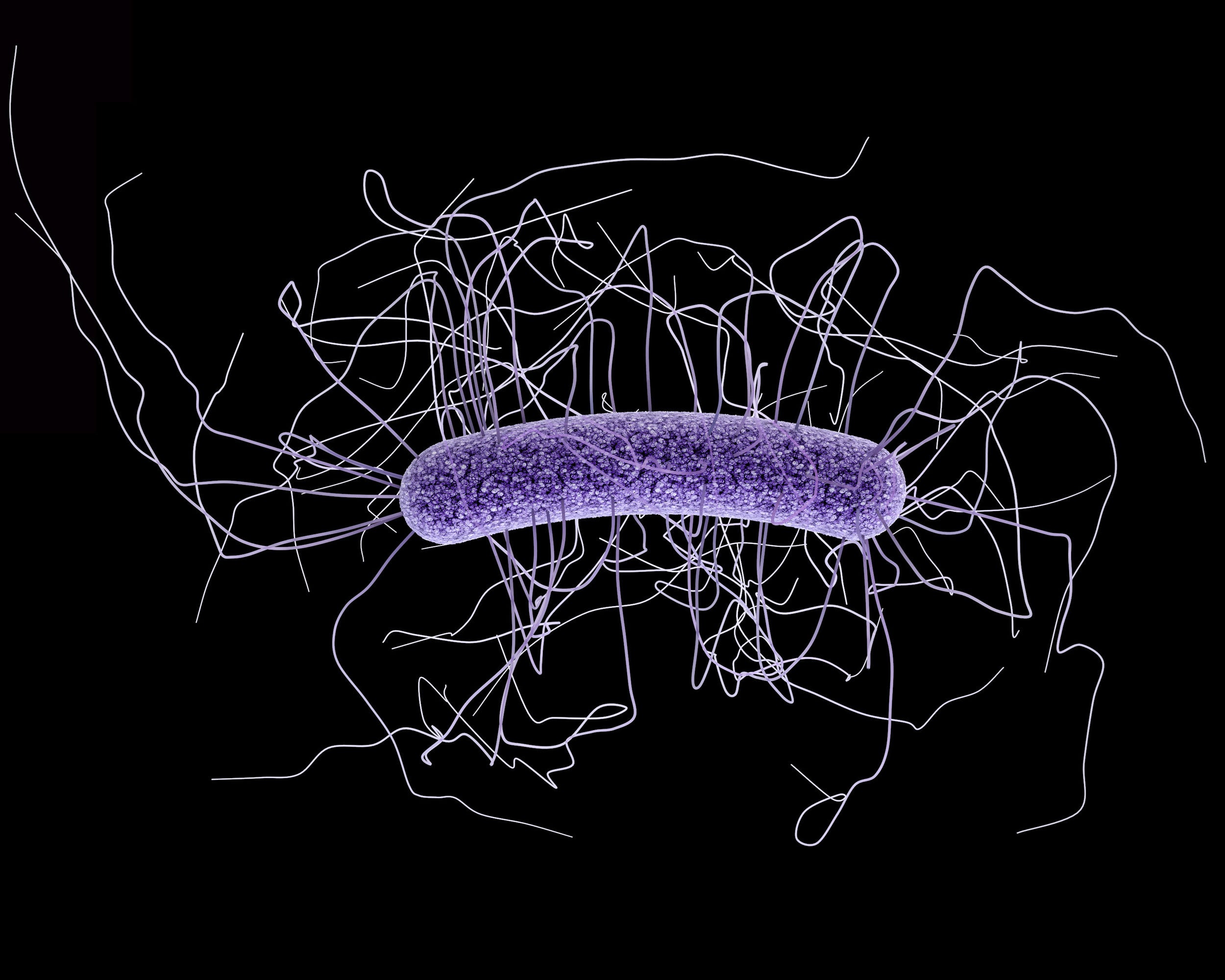 *3* This CRISPR Pill Could Replace Antibiotics