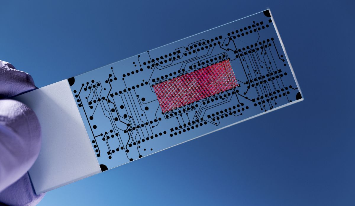 material science solar cells technology