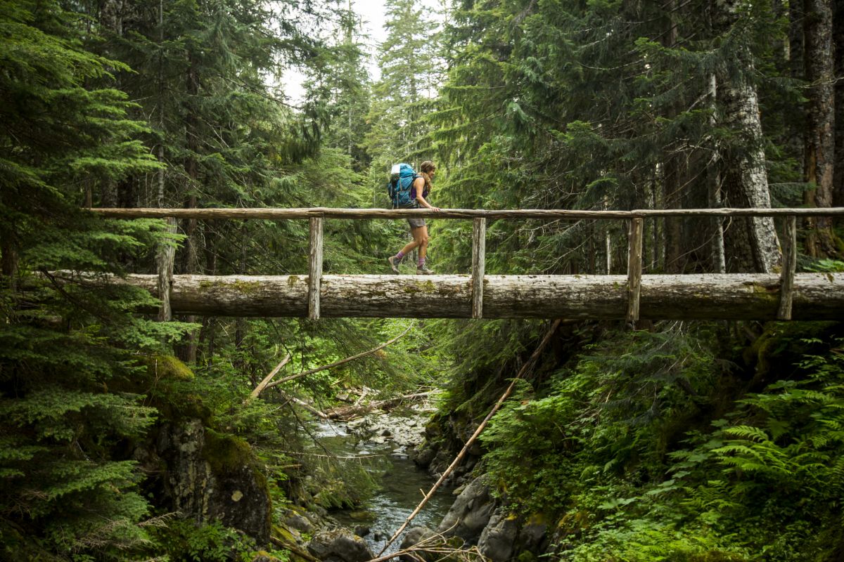 Woman hikes through Olympic National Park in Washington. Image credit: Jordan Siemens/Getty