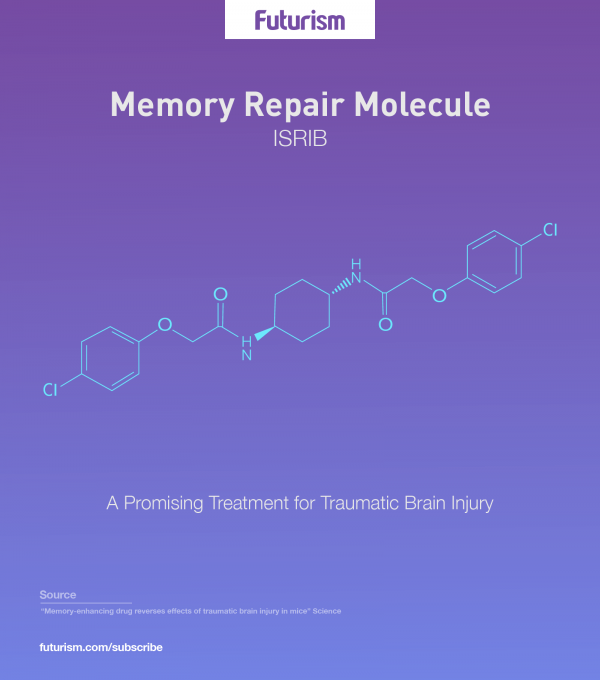 *4* New Compound Reverses the Effects of Traumatic Brain Injury in Mice